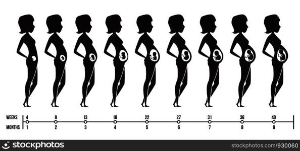 Pregnancy stages. Silhouettes of happy mom with newborn child female pregnancy trimesters infographics vector pictures. Illustration of mother pregnant, motherhood infographic, maternity newborn. Pregnancy stages. Silhouettes of happy mom with newborn child female pregnancy trimesters infographics vector pictures