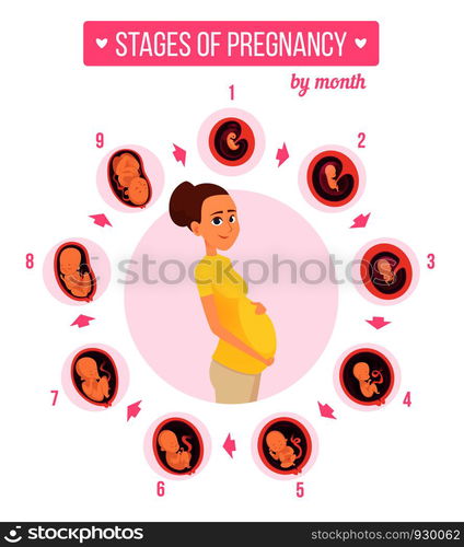 Pregnancy trimester infographic. Human growth stages new born baby ...