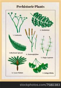 Prehistoric plants botanical set with text captions and isolated images of herbs inside the vertical frame vector illustration
