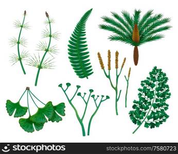 Prehistoric plants set with isolated images of wild herbs of the prehistoric times on blank background vector illustration