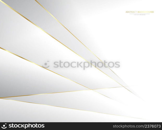 Premium background. Abstract luxury pattern. Vector illustration.