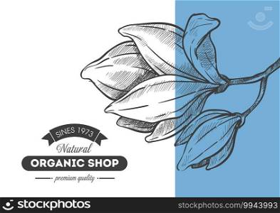 Premium quality of organic shop, design of banner with flower bud. Natural ingredients and healthy lifestyle, ecological biomaterials, eco market. Monochrome sketch outline, vector in flat style. Organic shop, products of premium quality vector