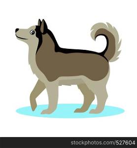 Pretty Alaskan Malamute icon, big furry dog, friendly pet, isolated on white background, vector illustration. Pretty Alaskan Malamute icon, big furry dog, isolated on white background