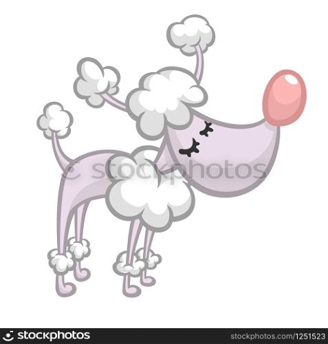 Pretty and cute cartoon french poodle. Vector illustration