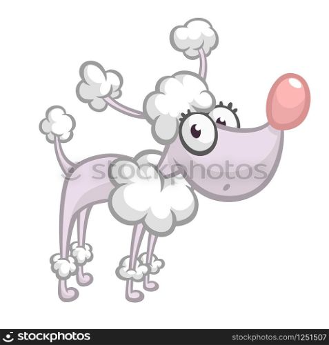 Pretty cartoon french poodle. Vector illustration