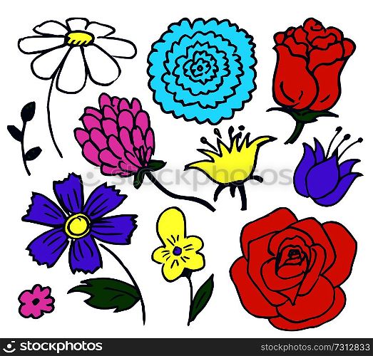 Pretty color flowers aggregate vector illustration with pink lilac light yellow red and blue buttons with lovely leaves isolated on white background. Pretty Color Flowers Aggregate Vector Illustration
