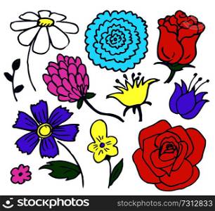 Pretty color flowers aggregate vector illustration with pink lilac light yellow red and blue buttons with lovely leaves isolated on white background. Pretty Color Flowers Aggregate Vector Illustration