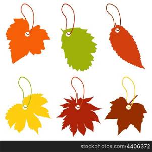Price list leaf. The price list for sale in the form of leaf. A vector illustration