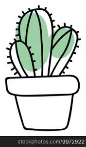Prickli cactuses, illustration, vector on white background.