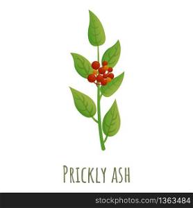 Prickly ash icon. Cartoon of prickly ash vector icon for web design isolated on white background. Prickly ash icon, cartoon style