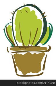 Prickly cactus in pot vector or color illustration