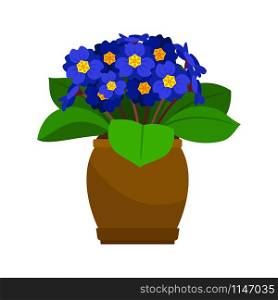 Primrose house plant in flower pot, vector icon on white background. Primrose house plant in flower pot