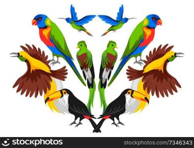 Print design with tropical exotic birds. Wild fauna of jungle and rainforest.. Print design with tropical exotic birds.