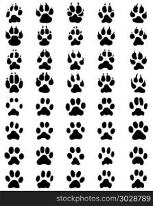 print of paws of dogs and cats