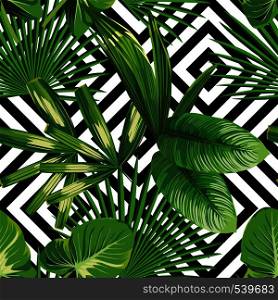 Print summer exotic jungle plant tropical palm leaves. Pattern, seamless floral vector on the black white geometric background. Nature wallpaper.