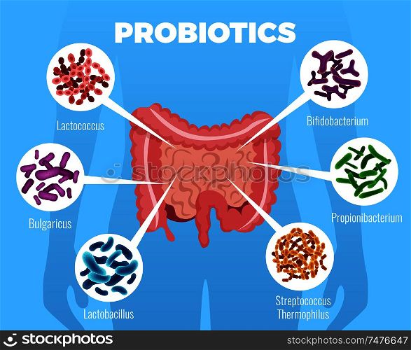 Probiotics bacteria poster with strengthening immune system symbols flat vector illustration