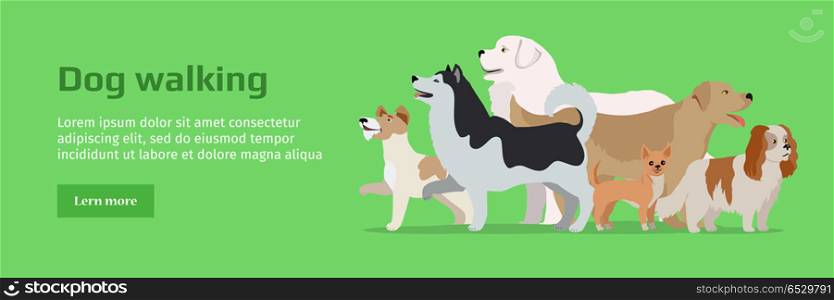 Professional Dog Walking Service Banner.. Professional dog walking banner. Group of different breeds dogs on green background. Website horizontal template. Dog service. Vector illustration in flat style. Cartoon dog character, pet animal