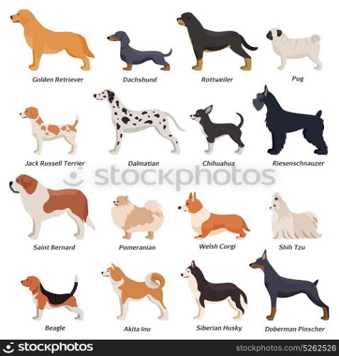 Profile Dogs Icon Set. Colored profile dogs icon set with golden retriever pug beagle jack Russell terrier and other breeds vector illustration