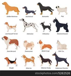 Profile Dogs Icon Set. Colored profile dogs icon set with golden retriever pug beagle jack Russell terrier and other breeds vector illustration