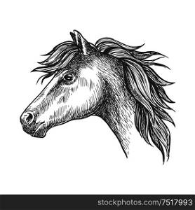 Profile of heavy farm horse isolated sketch icon of clydesdale mare with short mane and strong neck. Use as organic farming theme, horseback riding tour and family outdoor activity design. Heavy farm horse profile portrait in sketch style