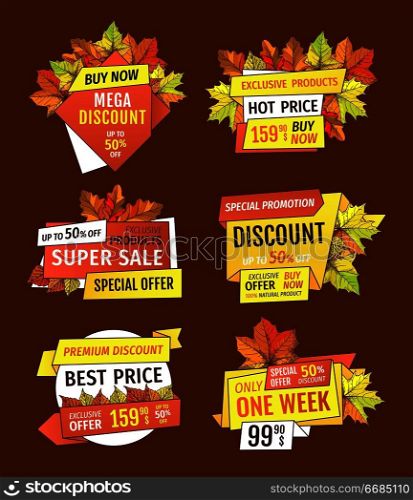 Promotion discounts on Thanksgiving day isolated, exclusive offer buy now labels with oak tree leaves. Vector autumn sale emblems, yellow foliage. Promotion Discounts on Thanksgiving Day Isolated