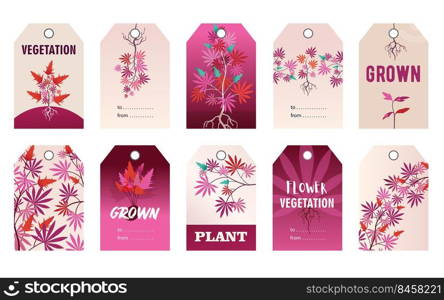 Promotional pink tag designs with hemp plant. Colorful cannabis leaves, roots, bush with text on vivid background. Hemp and legal drug concept. Template for greeting labels or invitation card