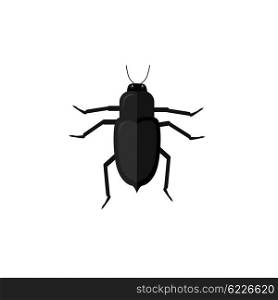 Protaetia May Bug Insect Design Flat. Protaetia may bug insect design flat. Small insect chafer with black legs and antennae and black wings folding in the shell. Wildlife creating isolation on white background. Vector illustration