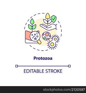 Protozoa concept icon. Agricultural microbiology abstract idea thin line illustration. Soil environment. Isolated outline drawing. Editable stroke. Roboto-Medium, Myriad Pro-Bold fonts used. Protozoa concept icon