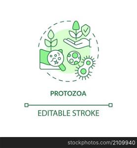 Protozoa green concept icon. Agricultural microbiology abstract idea thin line illustration. Soil organisms. Isolated outline drawing. Editable stroke. Roboto-Medium, Myriad Pro-Bold fonts used. Protozoa green concept icon
