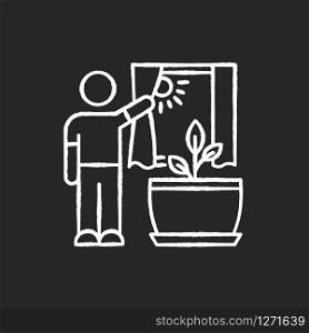 Providing sunlight for plant chalk white icon on black background. Plant growing, planting process. Indoor gardening. Exposing domestic plants to natural light. Isolated vector chalkboard illustration