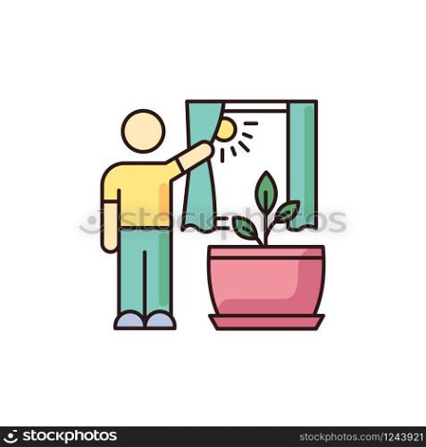 Providing sunlight for plant RGB color icon. Houseplant care. Plant growing, planting process. Indoor gardening. Exposing domestic plants to natural light. Isolated vector illustration