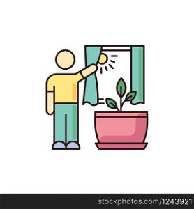Providing sunlight for plant RGB color icon. Houseplant care. Plant growing, planting process. Indoor gardening. Exposing domestic plants to natural light. Isolated vector illustration