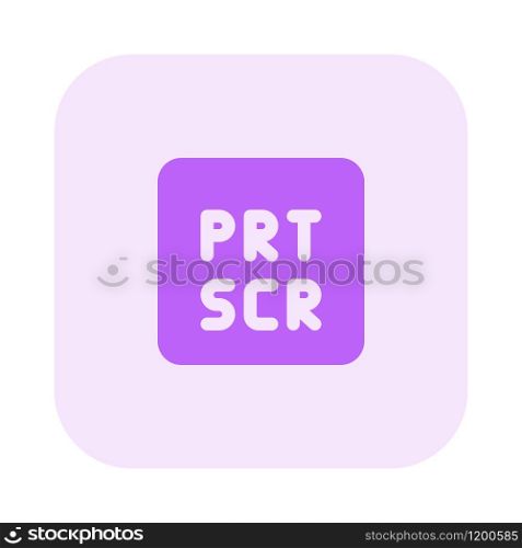 PRT SCR for a screenshot capture function key
