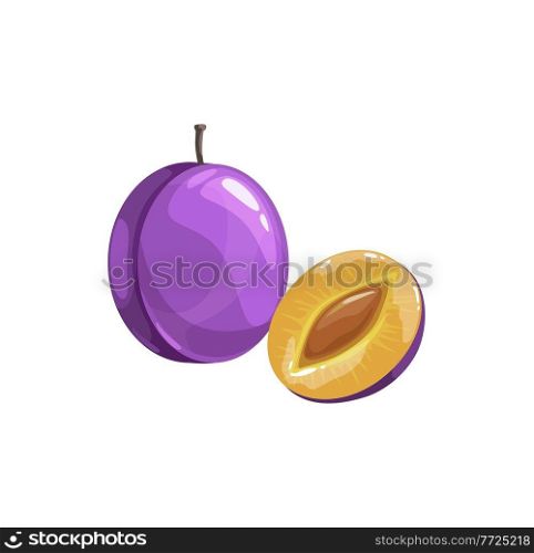 Prunes or plum fruit, ripe garden vector plant, organic production. Cartoon juicy natural healthy farm damson whole and half piece with stem and pit isolated design element on white background. Prunes or plum fruit, ripe garden vector plant