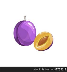 Prunes or plum fruit, ripe garden vector plant, organic production. Cartoon juicy natural healthy farm damson whole and half piece with stem and pit isolated design element on white background. Prunes or plum fruit, ripe garden vector plant