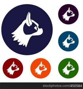 Pug dog icons set in flat circle reb, blue and green color for web. Pug dog icons set