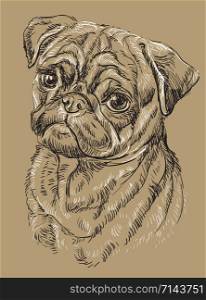 Pug vector hand drawing black and white illustration isolated on beige background