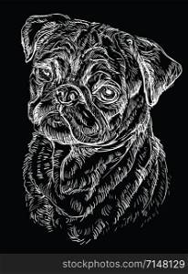 Pug vector hand drawing illustration in white color isolated on black background