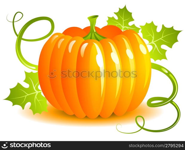 Pumpkin