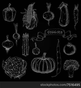 Pumpkin and tomato, onion and garlic, eggplant and bean, broccoli and beet, bell pepper and corn, asparagus and cauliflower, radish and daikon vegetables chalk sketches for restaurant menu design. Vegetables engraving chalk sketches set