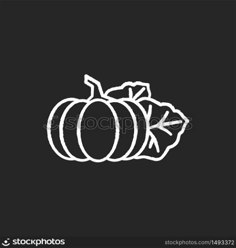 Pumpkin chalk white icon on black background. Seasonal fresh vegetable. Nutrient gourd from farm market. October harvest, vegan salad ingredient. Isolated vector chalkboard illustration. Pumpkin chalk white icon on black background