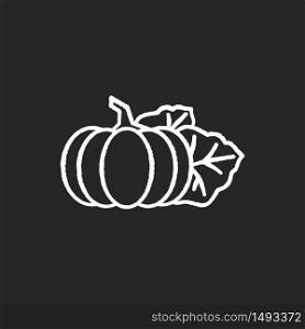 Pumpkin chalk white icon on black background. Seasonal fresh vegetable. Nutrient gourd from farm market. October harvest, vegan salad ingredient. Isolated vector chalkboard illustration. Pumpkin chalk white icon on black background