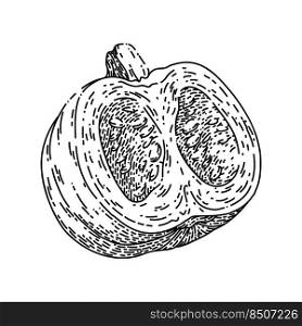 pumpkin cut hand drawn vector. slice autumn, piece food, squash, open top seed pumpkin cut sketch. isolated black illustration. pumpkin cut sketch hand drawn vector