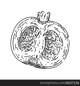 pumpkin cut hand drawn vector. slice autumn, piece food, squash, open top seed pumpkin cut sketch. isolated black illustration. pumpkin cut sketch hand drawn vector