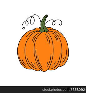 Pumpkin. Flat color icon. Thanksgiving design. Autumn pumpkin.