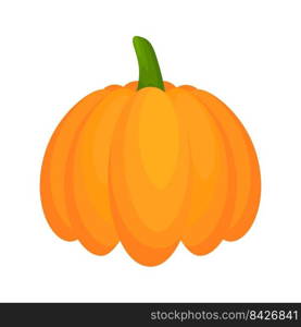 Pumpkin flat vegetable. Halloween harvest pumpkin. Vector isolated on white.. Pumpkin flat vegetable.