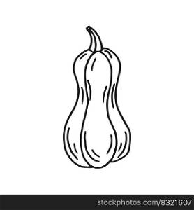 Pumpkin. Hand drawn vector illustration in doodle style. Black and white image of vegetables.
