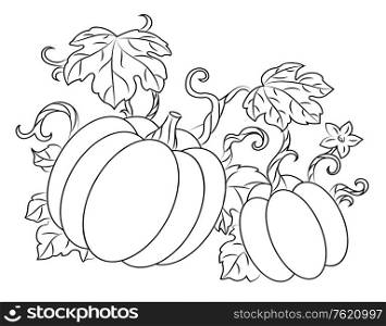 Pumpkin harvest drawing in retro style for thanksgiving design