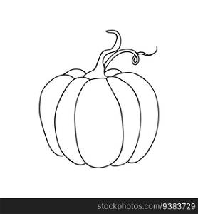 Pumpkin icon autumn fruit in simple line drawings. Vector illustration of pumpkin for Halloween or harvest, badges for labels, packaging