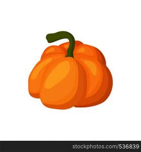 Pumpkin icon in cartoon style on a white background. Pumpkin icon, cartoon style